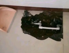 高密卫生间测漏水多少钱